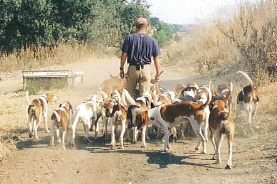 Training - Hunting/Retrieving