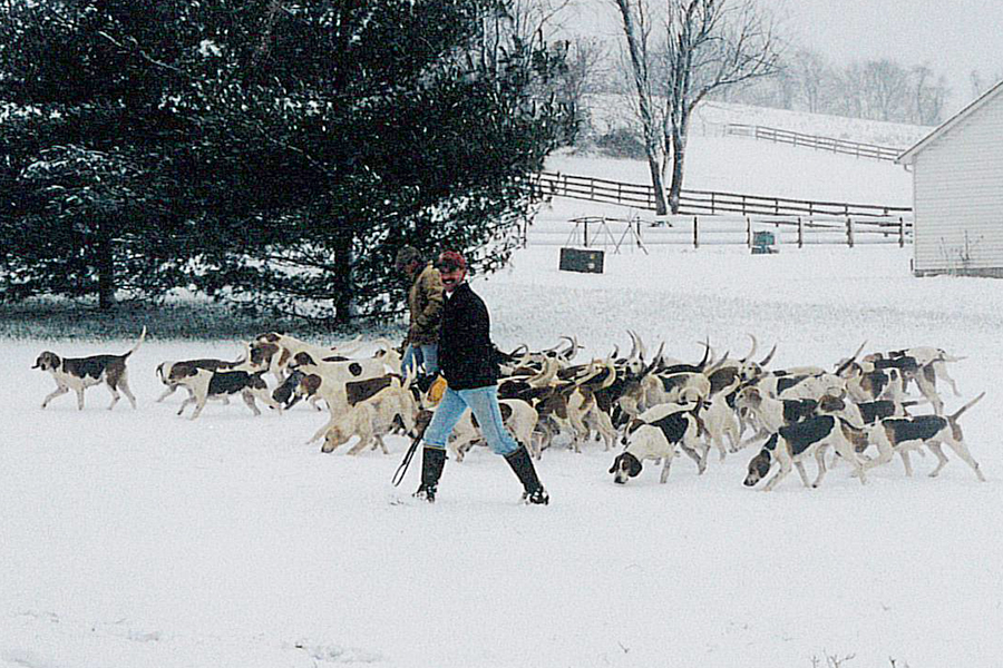 Training - Hunting/Retrieving