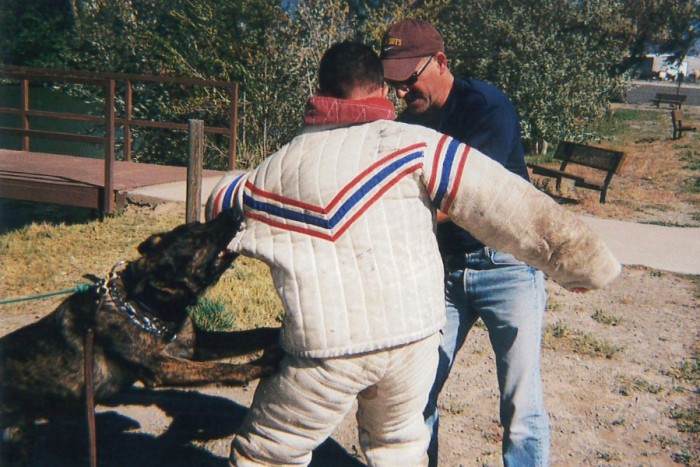 Protection - Professional K9