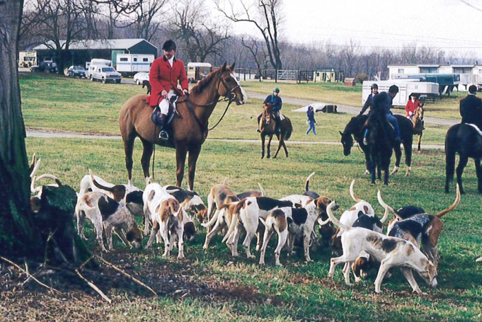 Training - Hunting/Retrieving